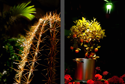 Kitchen&Garden