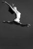Image copyright  © Davide Forti