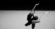 Image copyright  © Davide Forti