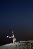Image copyright  © Davide Forti