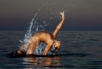 Image copyright  © Davide Forti