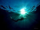 Image copyright  © Davide Forti