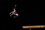 Image copyright  © Davide Forti