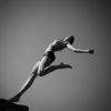 Image copyright  © Davide Forti