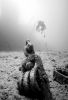 Image copyright  © Davide Forti