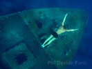 Image copyright  © Davide Forti